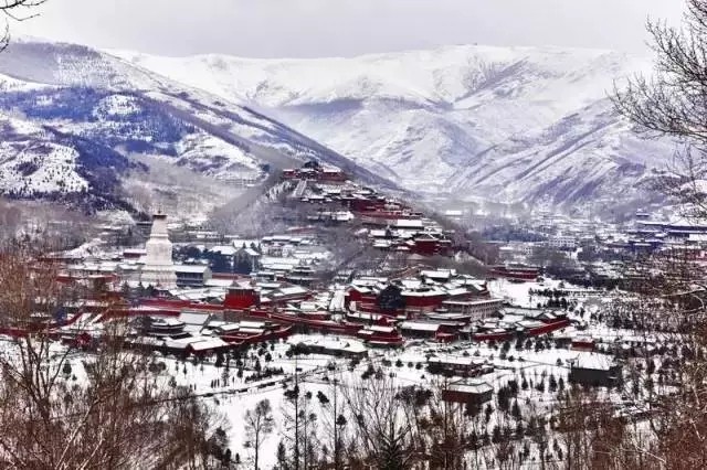 山西蜜桃免费视频赴佛教圣地五台山为您祈福